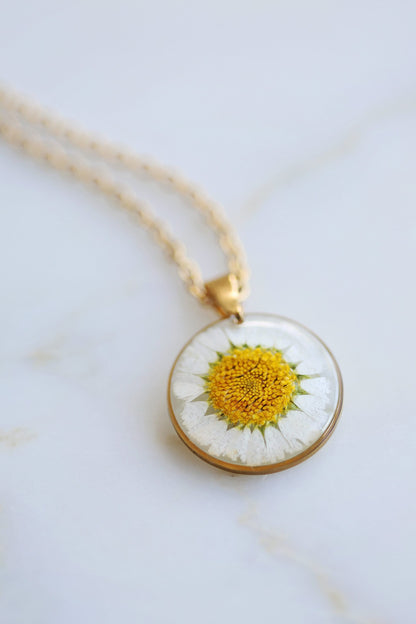 Pressed Round Dried Daisy Flower | Necklace and Earrings Botanical Jewelry | 18K Gold plated metal | Stainless steel